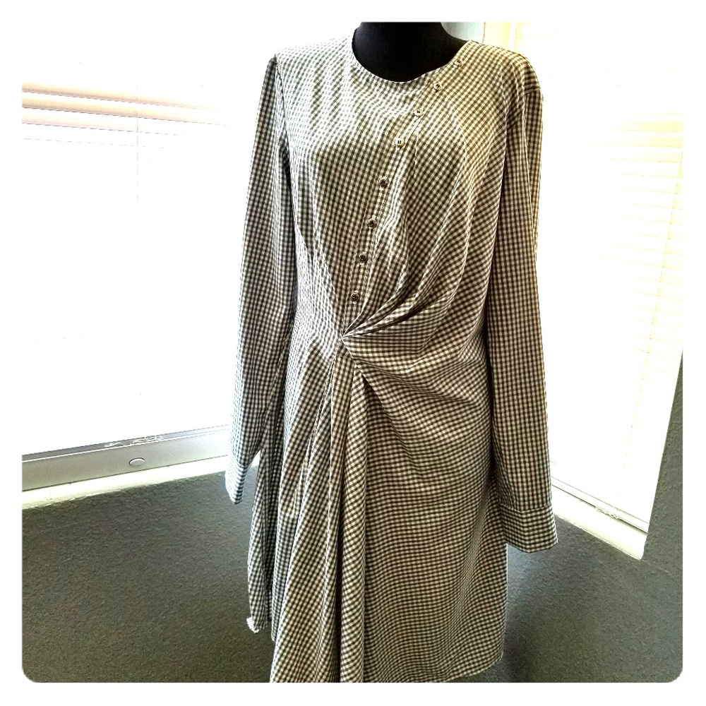 BNWT Dress **price firm**